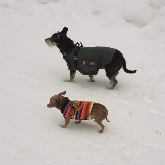 Meet your Posher, Galynne - Picture 1 of 1